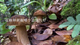 花椒和胡椒哪个去湿气好