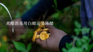 煮醋消毒用白醋还是陈醋