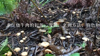 求红烧牛肉的起源，发展，烹调方法，特色和原料菜驰立?