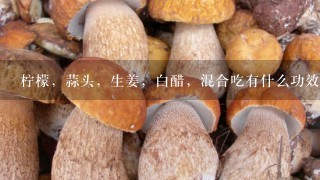 柠檬，蒜头，生姜，白醋，混合吃有什么功效