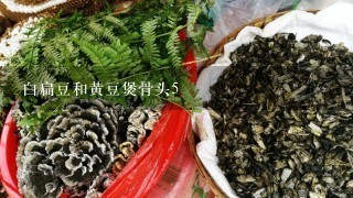 白扁豆和黄豆煲骨头5