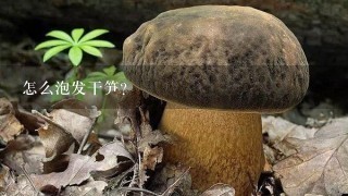 怎么泡发干笋?