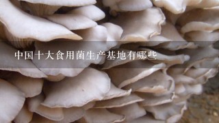 中国十大食用菌生产基地有哪些
