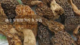 抽全身脂肪20斤多少钱