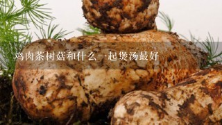 鸡肉茶树菇和什么1起煲汤最好