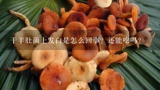 干羊肚菌上发白是怎么回事？还能吃吗？