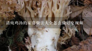 清炖鸡汤的家常做法大全怎么做好吃视频