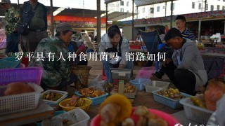 罗平县有人种食用菌吗 销路如何