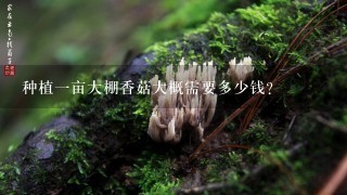 种植1亩大棚香菇大概需要多少钱？