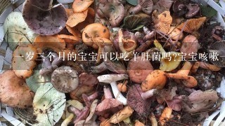 1岁3个月的宝宝可以吃羊肚菌吗?宝宝咳嗽1段时间打针吃药都还没好，药师说羊肚菌可以治咳嗽，可以吃吗