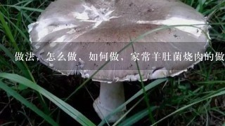 做法，怎么做，如何做，家常羊肚菌烧肉的做法大全视频