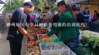 柳州地区有学习种植食用菌的培训班吗？