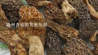 随州香菇的发展历程