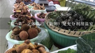 “菇-菜”立体栽培（如图）是充分利用温室大棚等设施的光、温度环境优势，按照空间层次分布，形成优势互