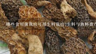 哪些食用菌栽培可用生料栽培?生料与熟料谁产量高?各自有哪些优缺点?