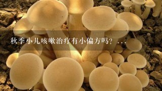 秋季小儿咳嗽治疗有小偏方吗？...