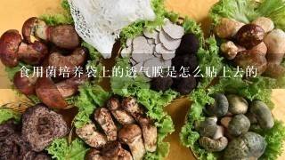 食用菌培养袋上的透气膜是怎么贴上去的