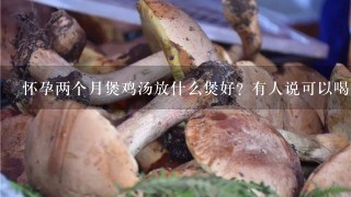 怀孕两个月煲鸡汤放什么煲好? 有人说可以喝党参枸杞红枣煲的鸡汤怎么样。