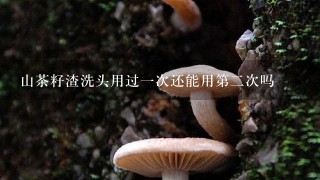 山茶籽渣洗头用过1次还能用第2次吗