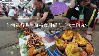 如何进行共生菌根食用菌人工栽培研究？