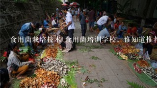 食用菌栽培技术 食用菌培训学校，谁知道推荐个!