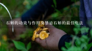 石斛的功效与作用及禁忌石斛的最佳吃法