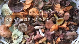 云南7彩菌菇朋友宣传文案？