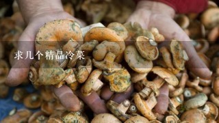 求几个精品冷菜