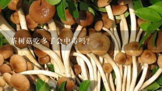 茶树菇吃多了会中毒吗？