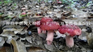 种植平菇的大棚搭1下,1亩地要投资多少钱