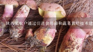 陕西某农户通过引进食用菌和蔬菜栽培技术建起了7个塑料大棚，变冬闲为冬忙。在大棚里生产蘑菇和只有春夏才能生长的蔬菜。据此回答问题1.塑料大棚主要改善了作物生长的哪种条件 2.上述材料说明，提高农业产出的重要手段是:A.热量B.水分C.土壤D.光照E.改变耕作方式F.加大科技的投入G.加大劳动力投入H.