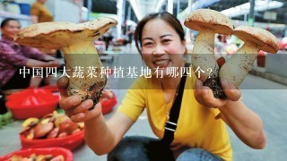 中国4大蔬菜种植基地有哪4个？