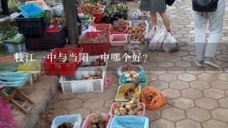 枝江1中与当阳1中哪个好？