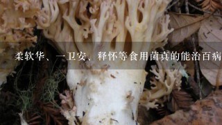 柔软华、1卫安、释怀等食用菌真的能治百病吗？治疑难杂症吗？有没有吃过的人？