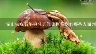 霍山铁皮石斛枫斗真假如何鉴别有哪些方面判断