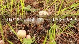 种植平菇的大棚搭1下,1亩地要投资多少钱