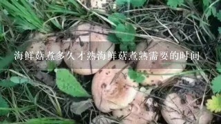 海鲜菇煮多久才熟海鲜菇煮熟需要的时间