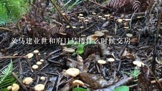 义马建业世和府11号楼什么时候交房