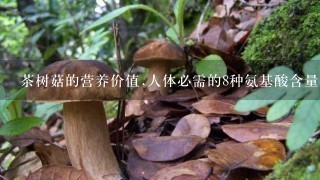 茶树菇的营养价值,人体必需的8种氨基酸含量齐全