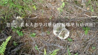 您好，我本人想学习蘑菇种植哪里有培训班？