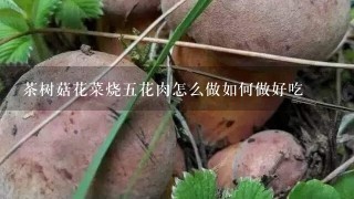 茶树菇花菜烧5花肉怎么做如何做好吃