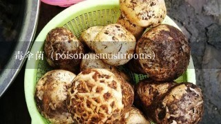 毒伞菌（poisonousmushrooms）