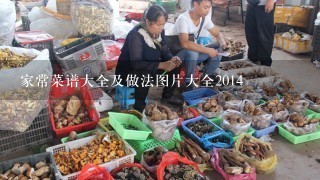 家常菜谱大全及做法图片大全2014