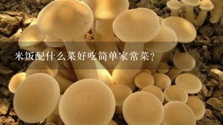 米饭配什么菜好吃简单家常菜？