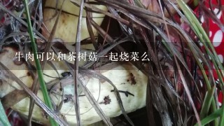 牛肉可以和茶树菇1起烧菜么