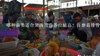 哪种菌类适合煲汤且营养价值高？百磨菇排骨汤