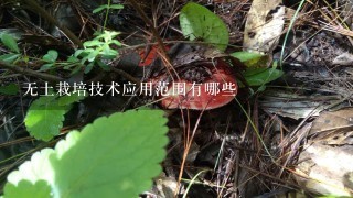 无土栽培技术应用范围有哪些