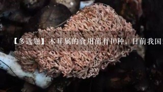 【多选题】木耳属的食用菌有10种, 目前我国栽培面积较大的两种是 ()