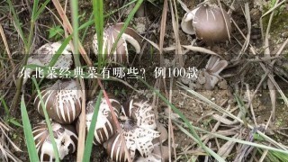 东北菜经典菜有哪些？例100款