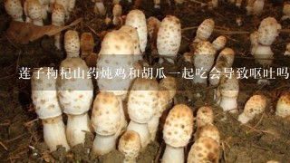 莲子枸杞山药炖鸡和胡瓜1起吃会导致呕吐吗